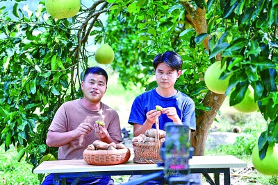 完美体育直播电商：出现新趋势亟待更规范